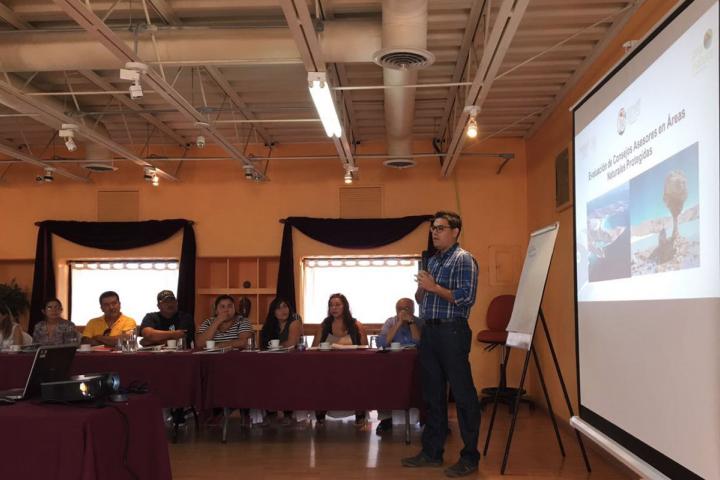 Reunión de consejo asesor