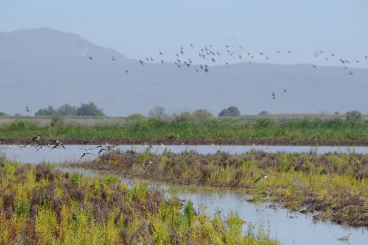 Paisaje de Bahía Santa María