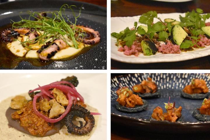 Degustación de platillos hechos con pulpo de Bahía de los Ángeles