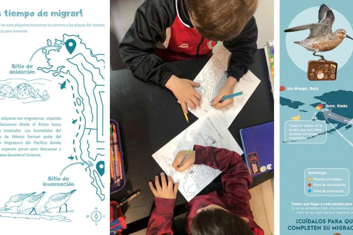 Collage from the Conservation Education activity “It’s time to migrate!”