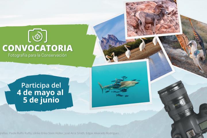 Imagen convocatoria Fotografía para la conservación 4 de mayo al 5 de junio de 2020.