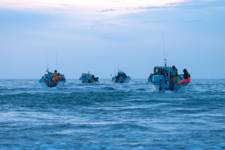 Pescadores al amanecer. Foto de Yohena Raya.