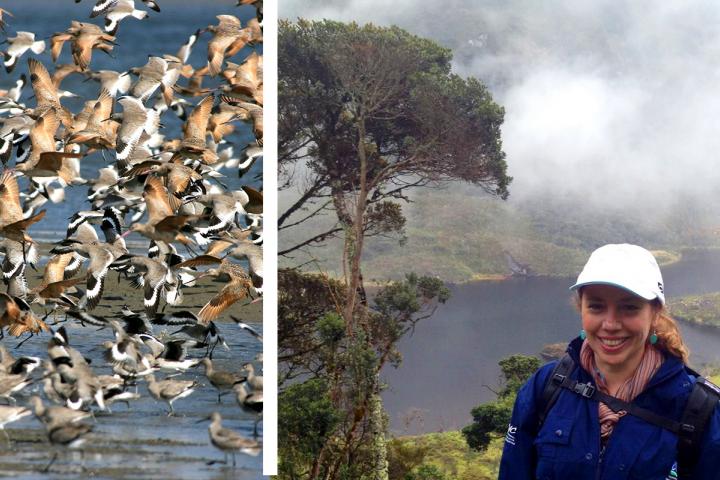 Natalie Rodríguez, Coordinadora del Programa de Conservación de Aves.