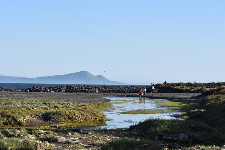 Paisaje de la entrada del Arroyo San Miguel a la playa del mismo nombre.