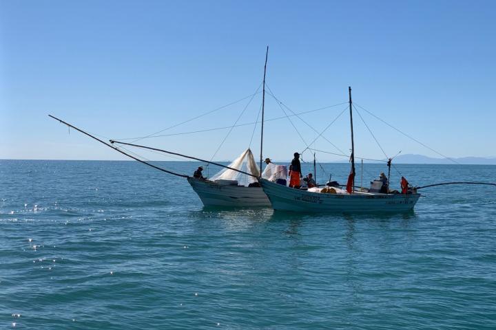 Embarcación pesquera en San Felipe