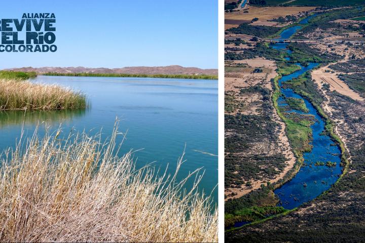 Vista aérea del Río colorado en Sonora
