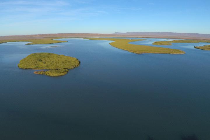 Vista aérea de Bahía Magdalena. Foto de Víctor Ayala.