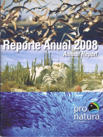 Reporte Anual 2008