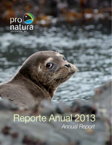 Portada de Reporte Anual 2013
