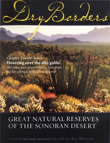 Hovering over the alto golfo