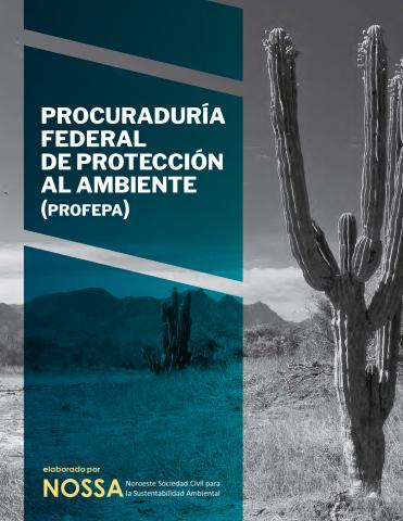 Procuraduría Federal de Protección al Ambiente (PROFEPA)