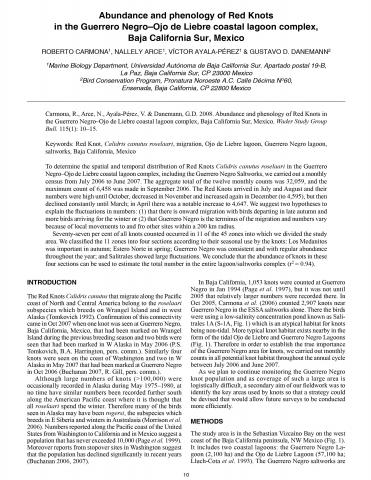 Abundance and phenology of Red Knots in the Guerrero Negro–Ojo de Liebre coastal lagoon complex, Baja California Sur, Mexico