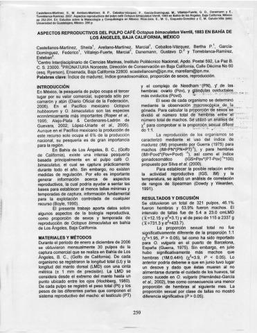 Aspectos reproductivos del Pulpo café Octopus bimaculatus Verrill, 1883 en Bahía de los Ángeles, Baja California, México