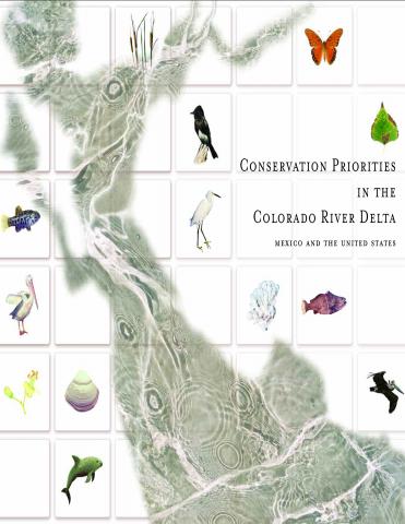 Conservation priorities in the Colorado River Delta