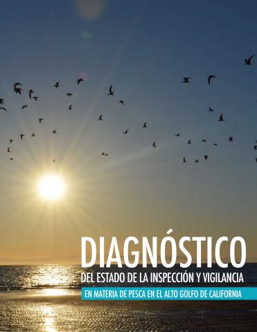 Diagnóstico del estado de la inspección y vigilancia en materia de pesca en el Alto Golfo de California