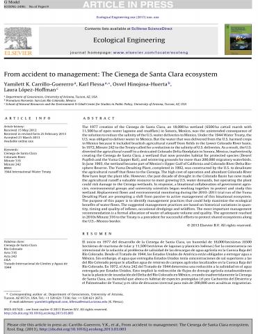 From accident to management: The Cienega de Santa Clara ecosystem