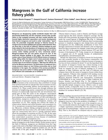 Mangroves in the Gulf of California increase fishery yields