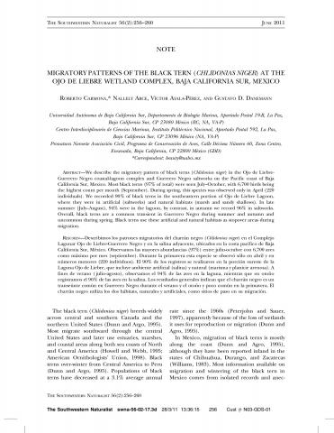 Migratory Patterns of the Black Tern (Chlidonias niger) at the Ojo de Liebre Wetland complex,  Baja California Sur, Mexico