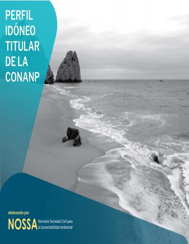 Perfil idóneo titular de la CONANP