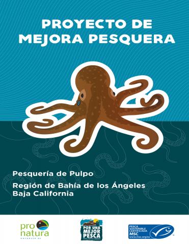 Proyecto de mejora pesquera. Pesquería de Pulpo