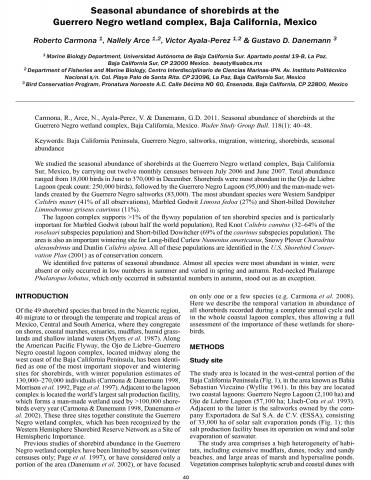 seasonal abundance of shorebirds at Guerrero Negro 