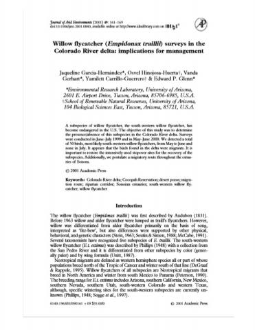 Willow flycatcher (Empidonax traillii) surveys in the Colorado River delta: implications for