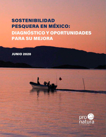 Embarcación en el atardecer 