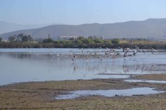 La Lagunita, Ensenada, B. C. 