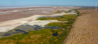 Humedales - El Dr.- Foto de Osvel Hinojosa 