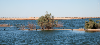 Humedales - Las Arenitas - Foto de Miguel Vargas