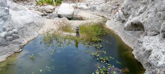 CPIC team during field work in the San José Basin, Baja California Sur. 