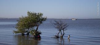 Bahía de Tobarí coastal landscape