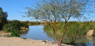 Humedal artificial Las Arenitas.