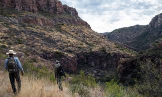 Grupo de expertos en la búsqueda del Águila real y su nido. 
