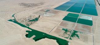 Vista aérea de la Planta de Tratamiento y el Humedal Cucapá