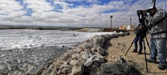 Observación de aves en Guerrero Negro con Víctor Ayala del Equipo Técnico del Laboratorio de Aves de la Universidad Autónoma de Baja California Sur.