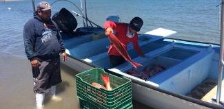 Familia ayudando a descargar la línea de pesca en San Evaristo, Baja California Sur.