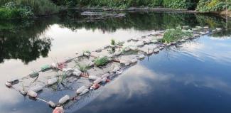 Chinampas de tule con flotadores en el agua