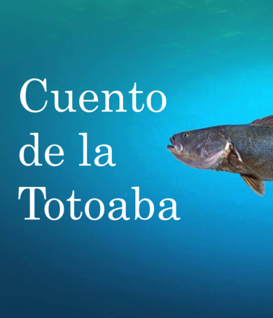 PNO_AudioCuento_TOTOABA_Caratula.png