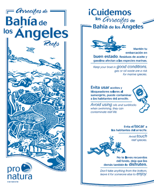 PNO_Folleto_ArrecifesRocososDeBahiaDeLosAngeles_Caratula.png