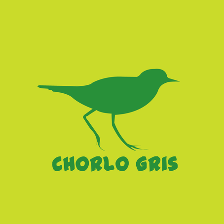 PNO_Imagenes_Chorlogris_Caratula.png