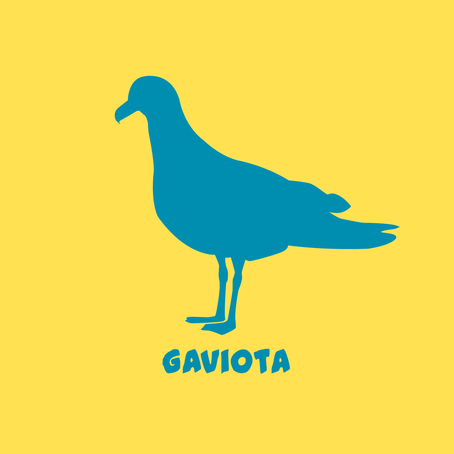 PNO_Imagenes_Gaviotas_Caratula.png