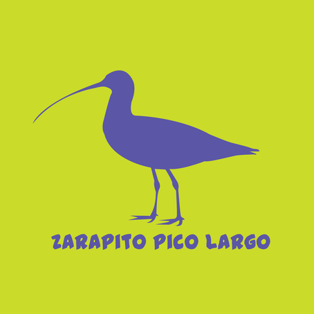 PNO_Imagenes_ZarapitoPicoLargo_Caratula.png