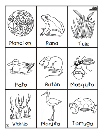 PNO_Juego_Loteria_del_Humedal_Caratula.png