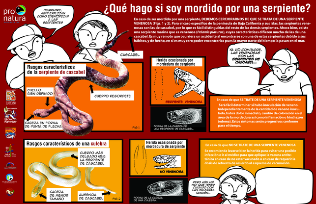 PNO_Poster_CuidadoSerpientes_3_Caratula.png