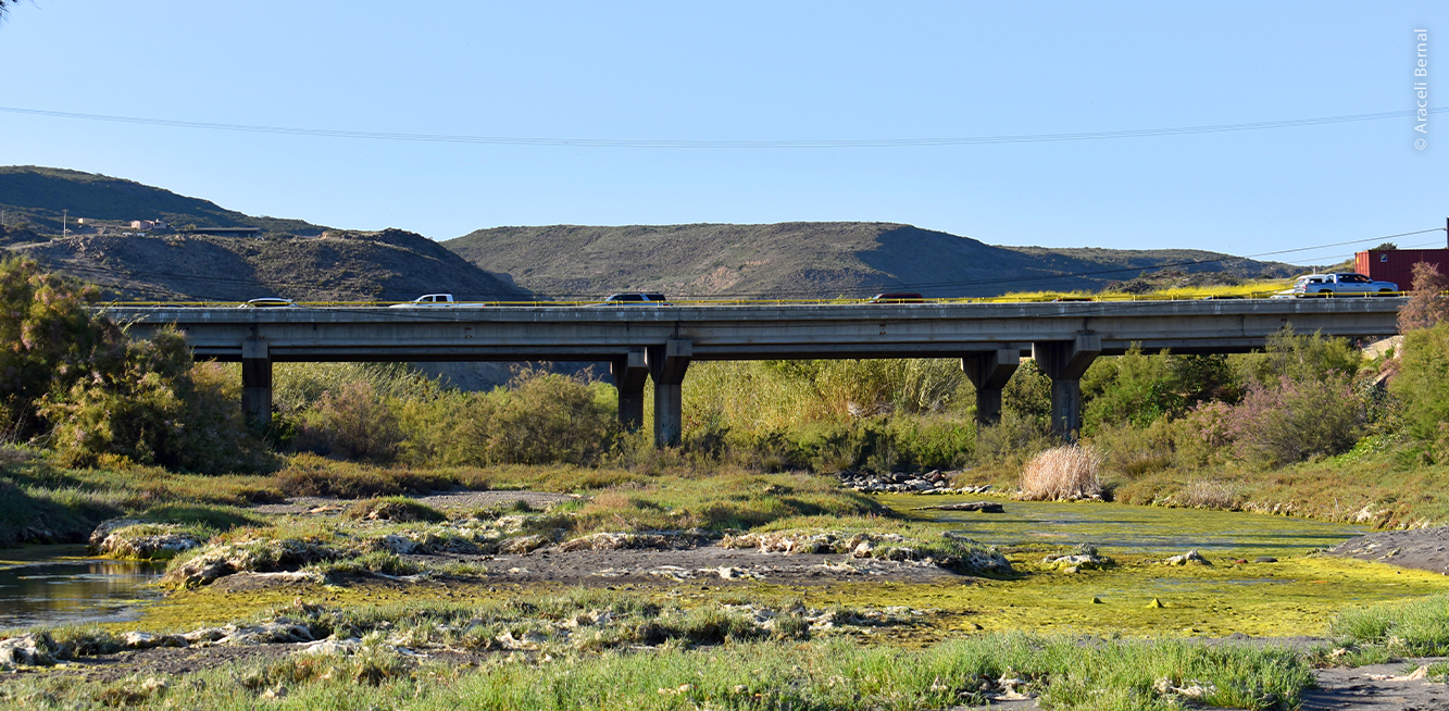 The Decree Of The First Arroyo San Miguel State Park Is Expected In July